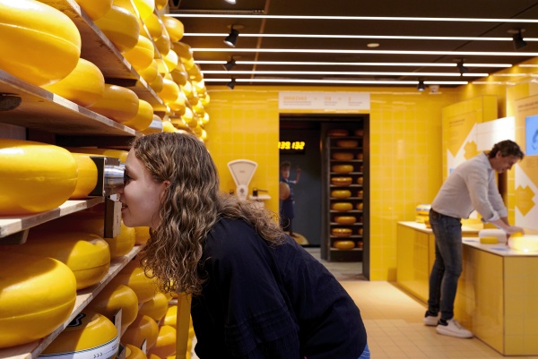 奶酪體驗中心展廳設計